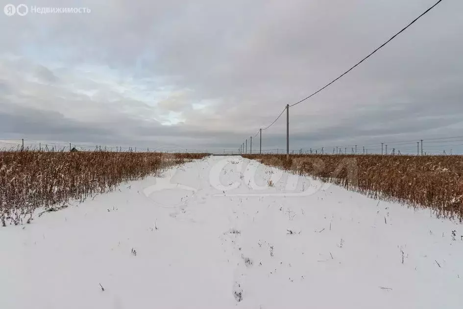 Участок в Червишевское муниципальное образование (8 м) - Фото 0