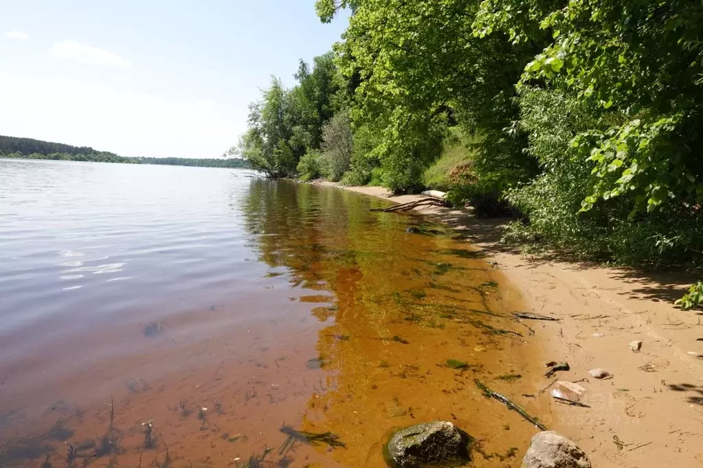 Участок в Ярославская область, Угличский муниципальный округ, ... - Фото 1