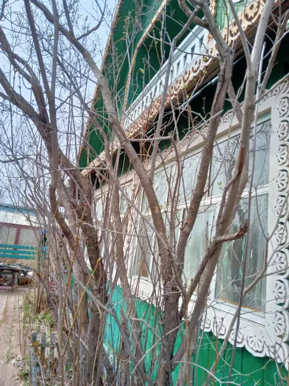 Дом в Иркутская область, Братск  (60 м) - Фото 2