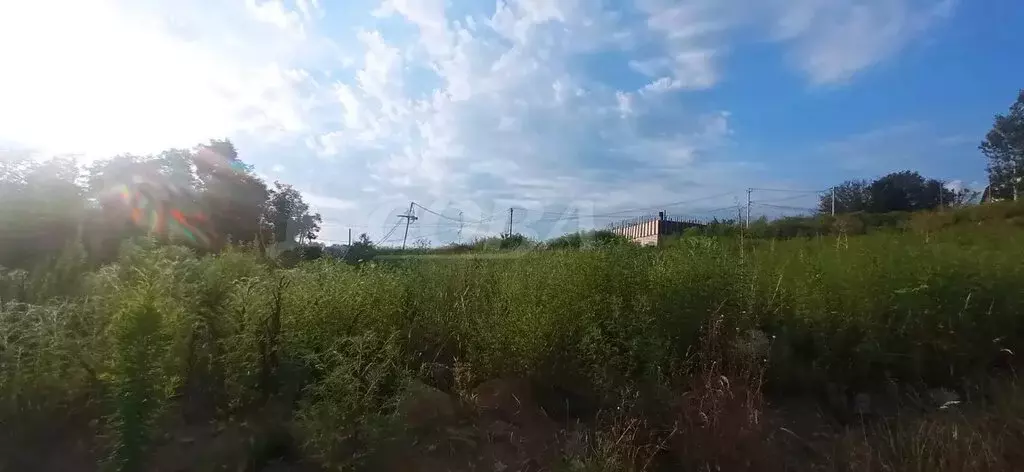 Участок в Сочи, Новый Адлерский мост (8 м) - Фото 1