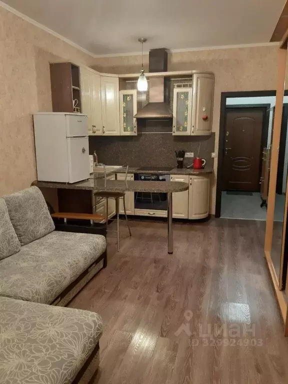 1-к кв. Московская область, Реутов Юбилейный просп., 66 (28.0 м) - Фото 1