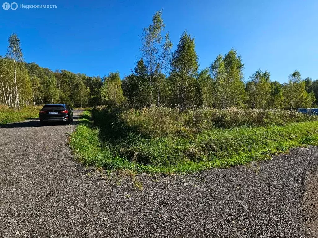 участок в московская область, городской округ чехов, деревня леониха . - Фото 1