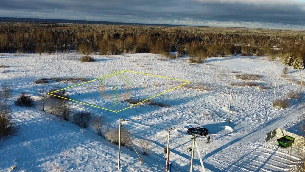 Участок в Ленинградская область, Кингисеппский район, Нежновское ... - Фото 2