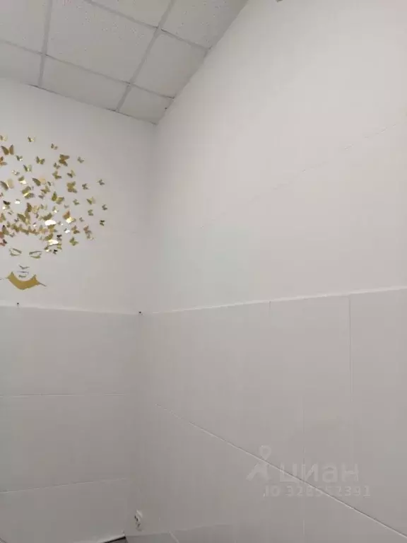 Офис в Астраханская область, Астрахань ул. Татищева, 20Г (15 м) - Фото 2