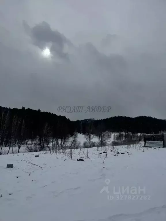 Участок в Алтай, Чемальский район, пос. Верх-Анос ул. Центральная ... - Фото 1