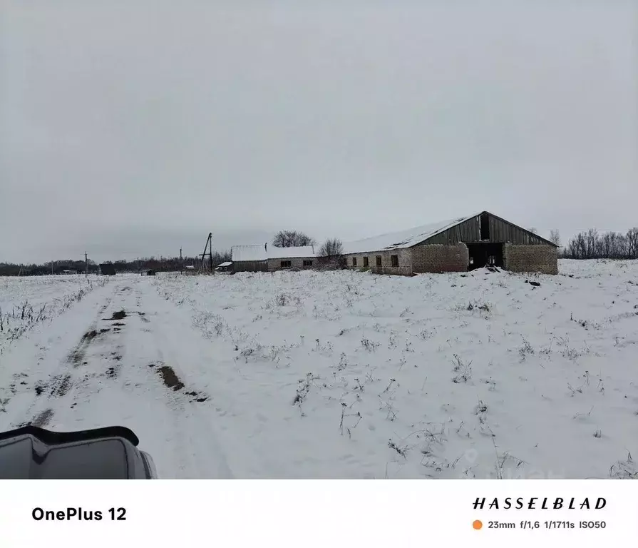 Производственное помещение в Новгородская область, Старорусский район, ... - Фото 2