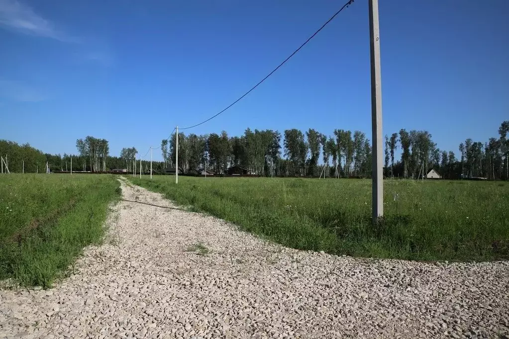 Участок в Тульская область, Заокский район, Страховское с/пос, д. ... - Фото 2