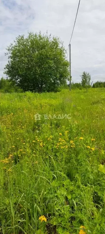 Участок в Марий Эл, Йошкар-Ола городской округ, д. Шоя-Кузнецово ул. ... - Фото 1