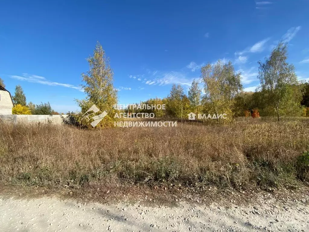 Участок в Рязанская область, Пронский район, Погореловское с/пос, д. ... - Фото 2