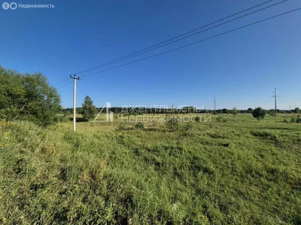 Участок в Бессоновский район, посёлок Подлесный (33 м) - Фото 2