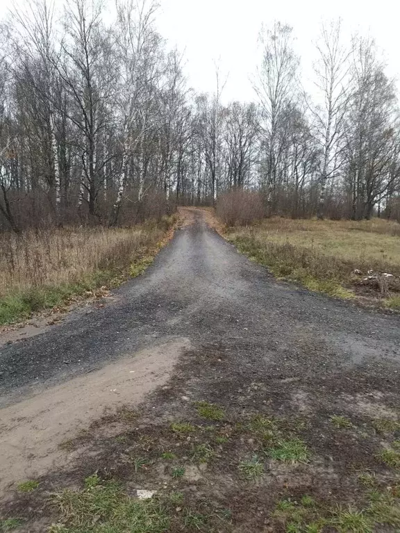 Участок в Владимирская область, Суздальский район, Новоалександровское ... - Фото 0