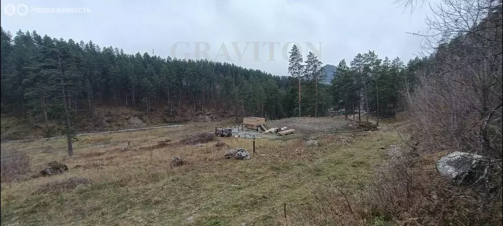 Участок в Майминский район, село Манжерок (10 м) - Фото 0