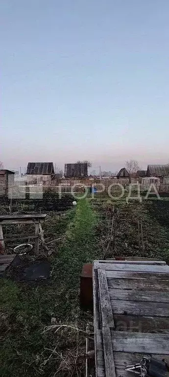 Участок в Новосибирская область, Новосибирск Заря садовое ... - Фото 0