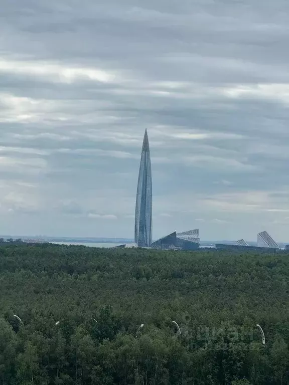 3-к кв. Санкт-Петербург ул. Плесецкая, 4 (117.3 м) - Фото 0
