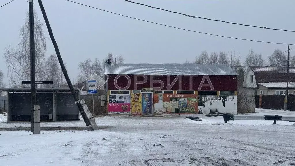 Участок в Тюменская область, Тюмень Лаванда садовое товарищество, ул. ... - Фото 1