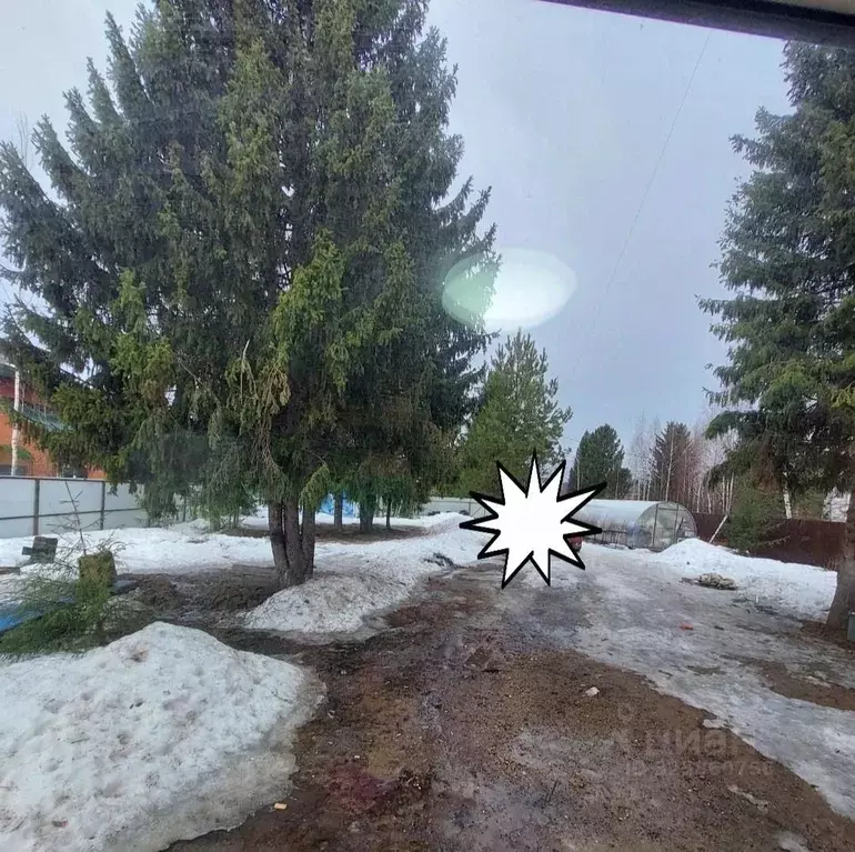 Участок в Пермский край, Пермь Вербная ул. (6.0 сот.) - Фото 1