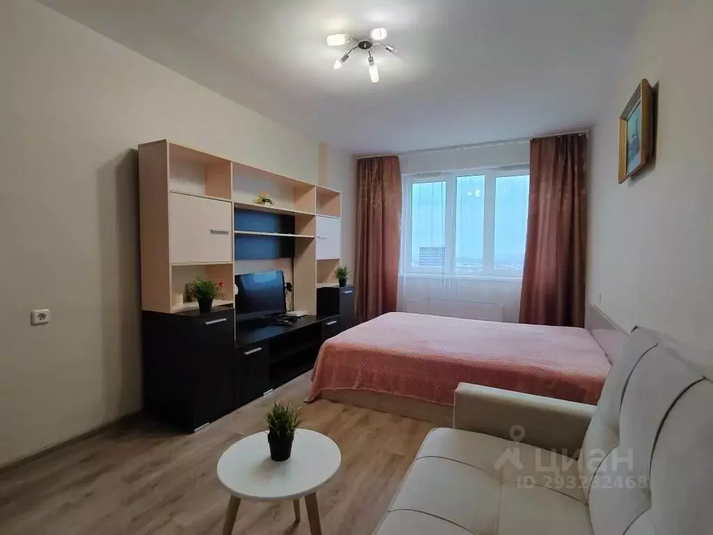 1-к кв. Нижегородская область, Нижний Новгород ул. Окская, 1 (45.0 м) - Фото 0