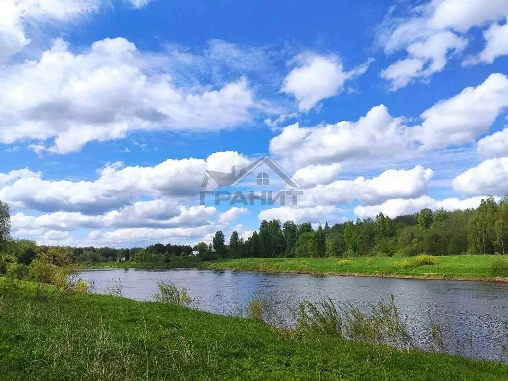 Участок в Новгородская область, Крестецкий муниципальный округ, село ... - Фото 2