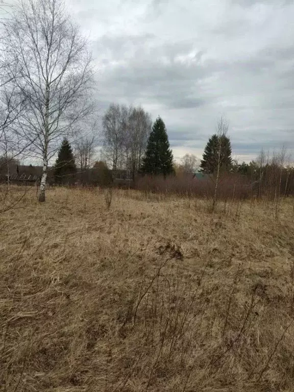 Участок в Смоленская область, Кардымовский муниципальный округ, д. ... - Фото 2