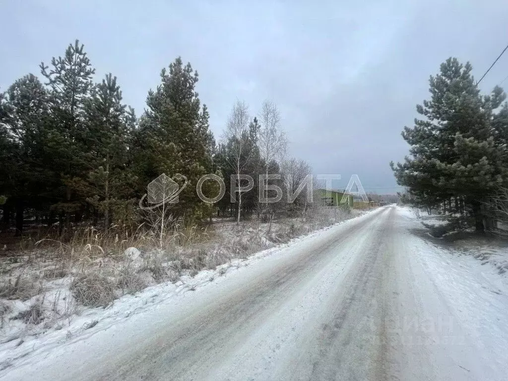 Участок в Тюменская область, Нижнетавдинский район, Березка СНТ ул. ... - Фото 1