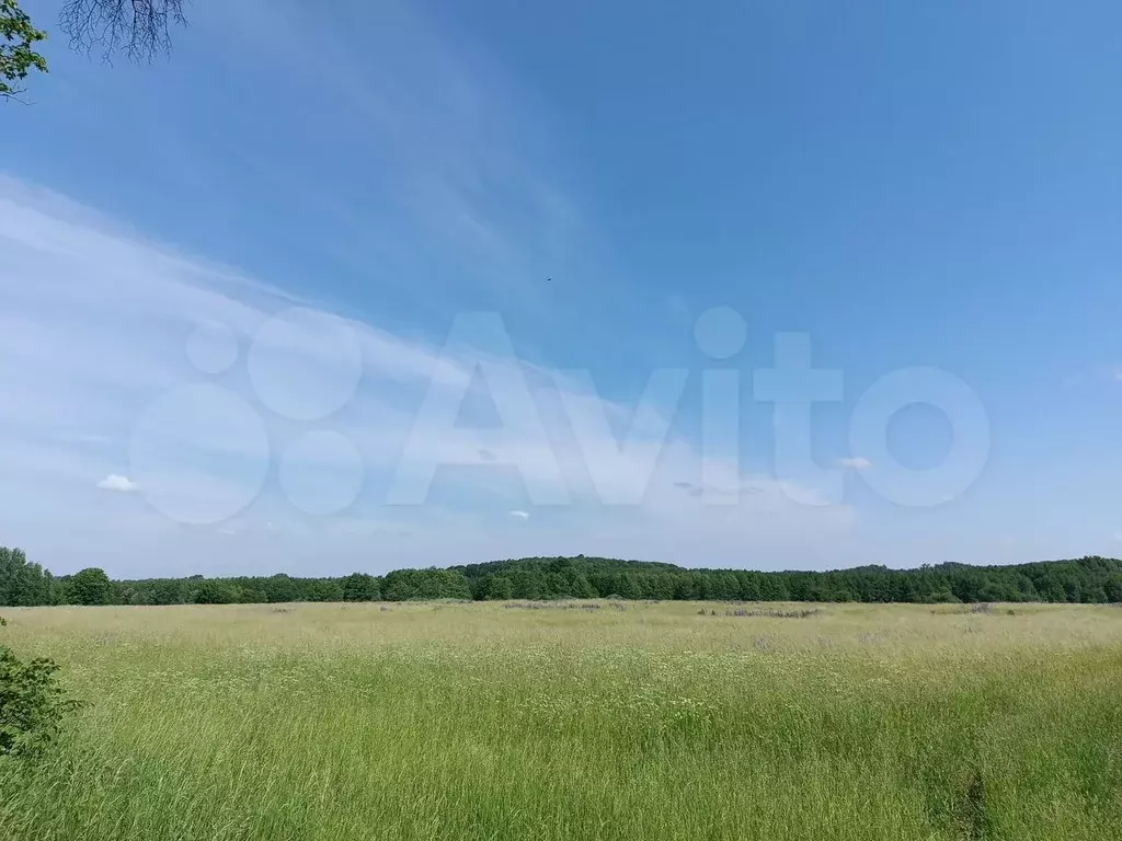 Участок 12,54 га (СНТ, ДНП) - Фото 0