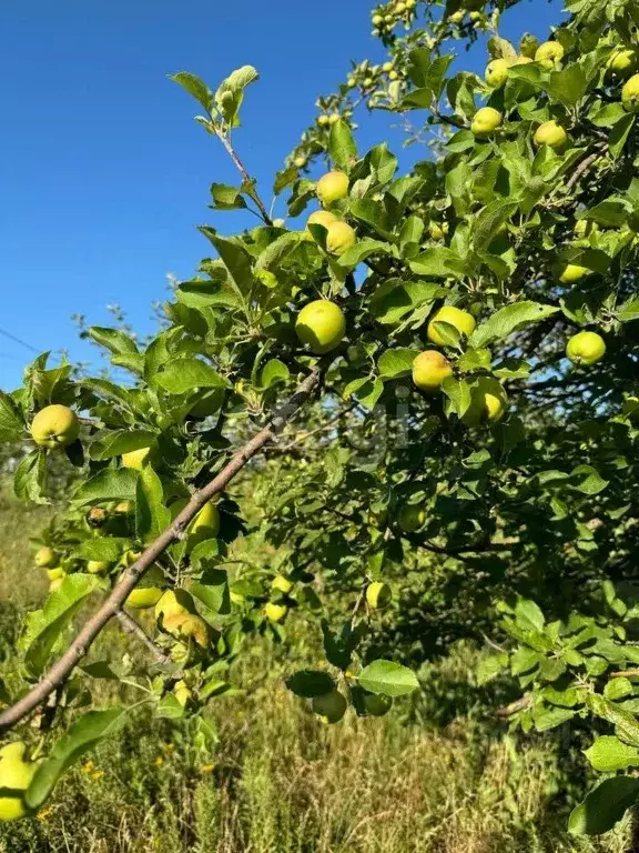 Участок в Краснодарский край, Новороссийск городской округ, ... - Фото 1
