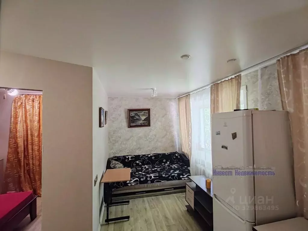 1-к кв. Алтайский край, Барнаул городской округ, с. Лебяжье ул. ... - Фото 2