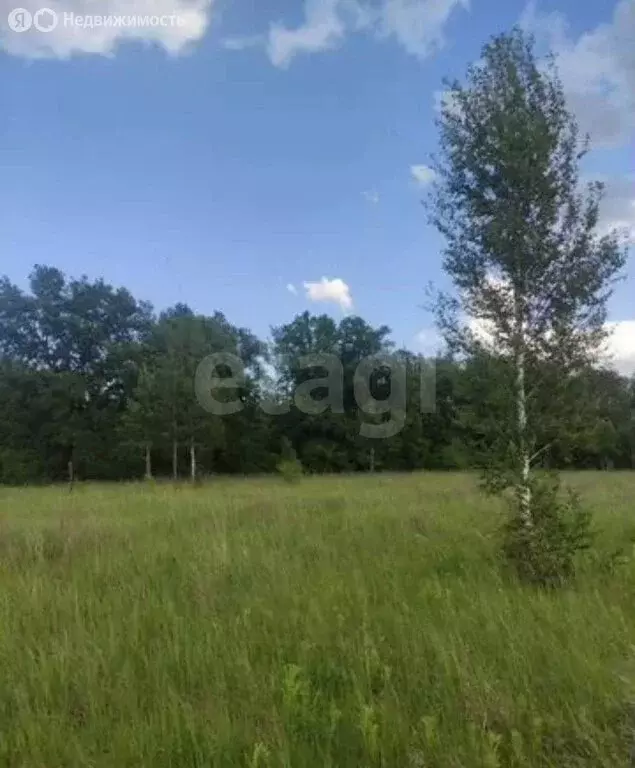 Участок в село Архангельское, Памятная территория (11.59 м) - Фото 2