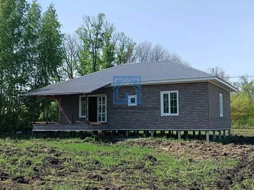 Дом в Пензенская область, с. Бессоновка  (100 м) - Фото 1