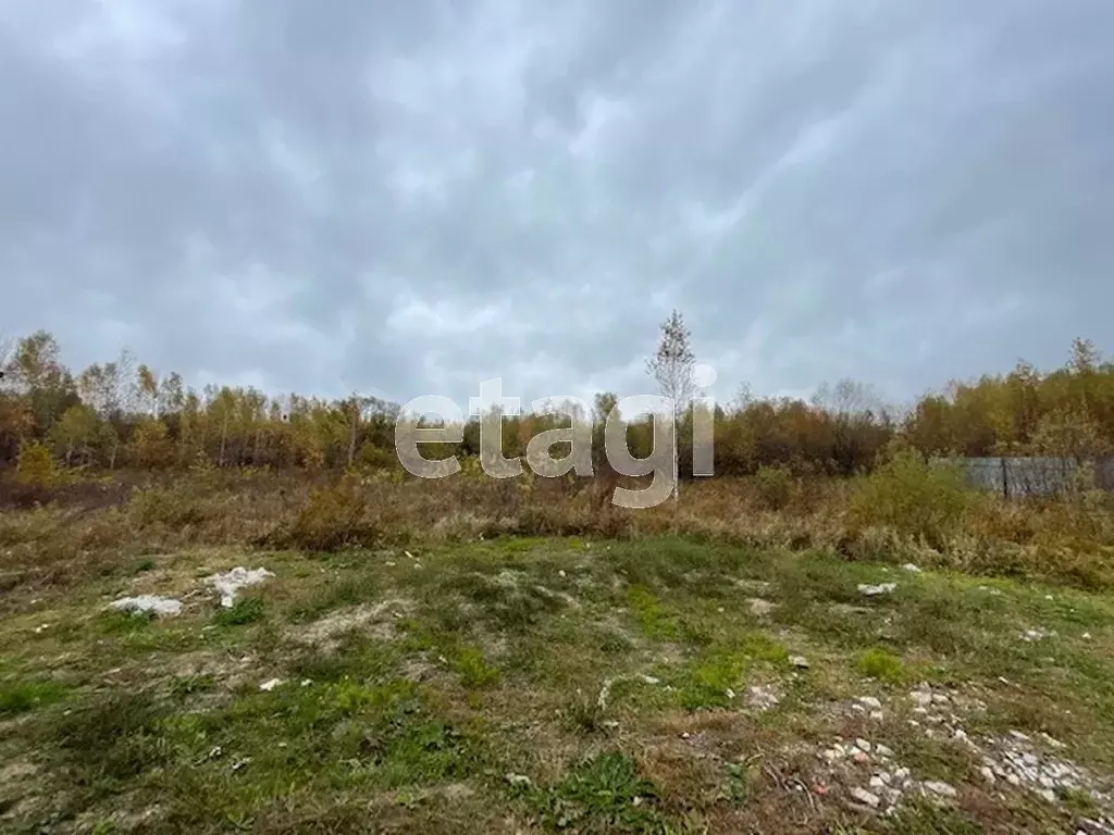 Участок в Хабаровский край, Хабаровский район, с. Черная Речка Верхняя ... - Фото 1