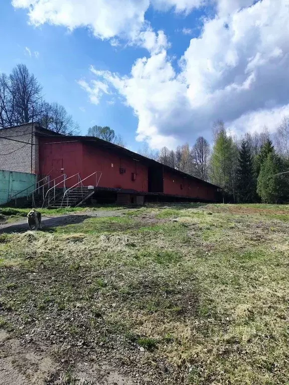Склад в Московская область, Клин городской округ, пос. Нудоль ул. ... - Фото 0