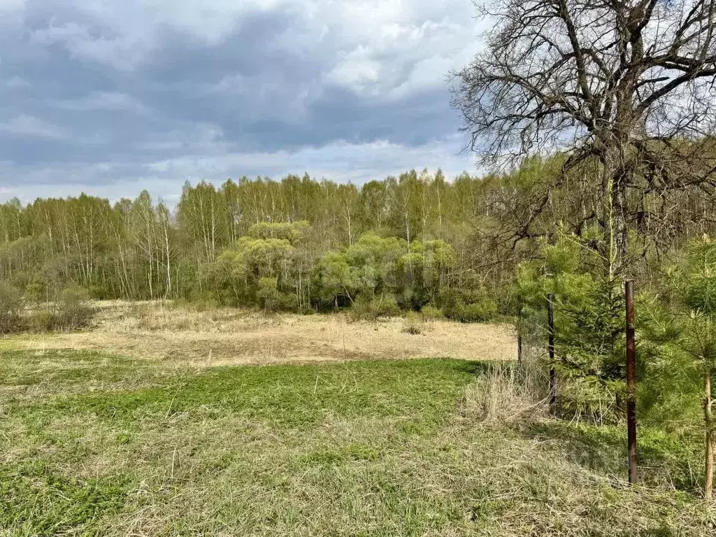 Участок в Смоленская область, Смоленский муниципальный округ, д. ... - Фото 2