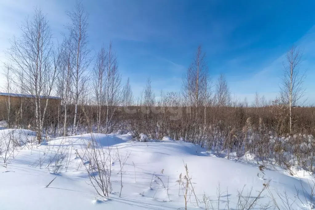 Участок в Тюменская область, Тюмень  (4.9 сот.) - Фото 1