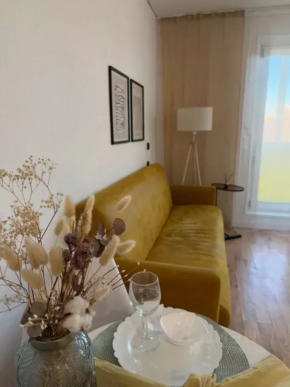 Студия Челябинская область, Челябинск ул. Габдуллы Тукая, 13 (24.1 м) - Фото 2