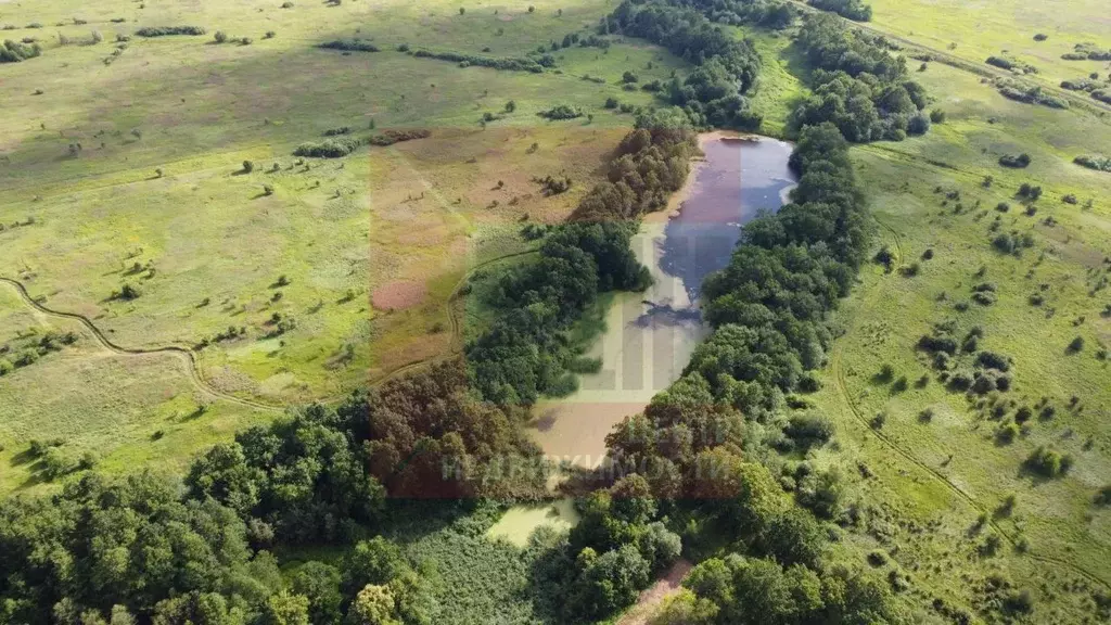 Участок в Калининградская область, Багратионовский муниципальный ... - Фото 2