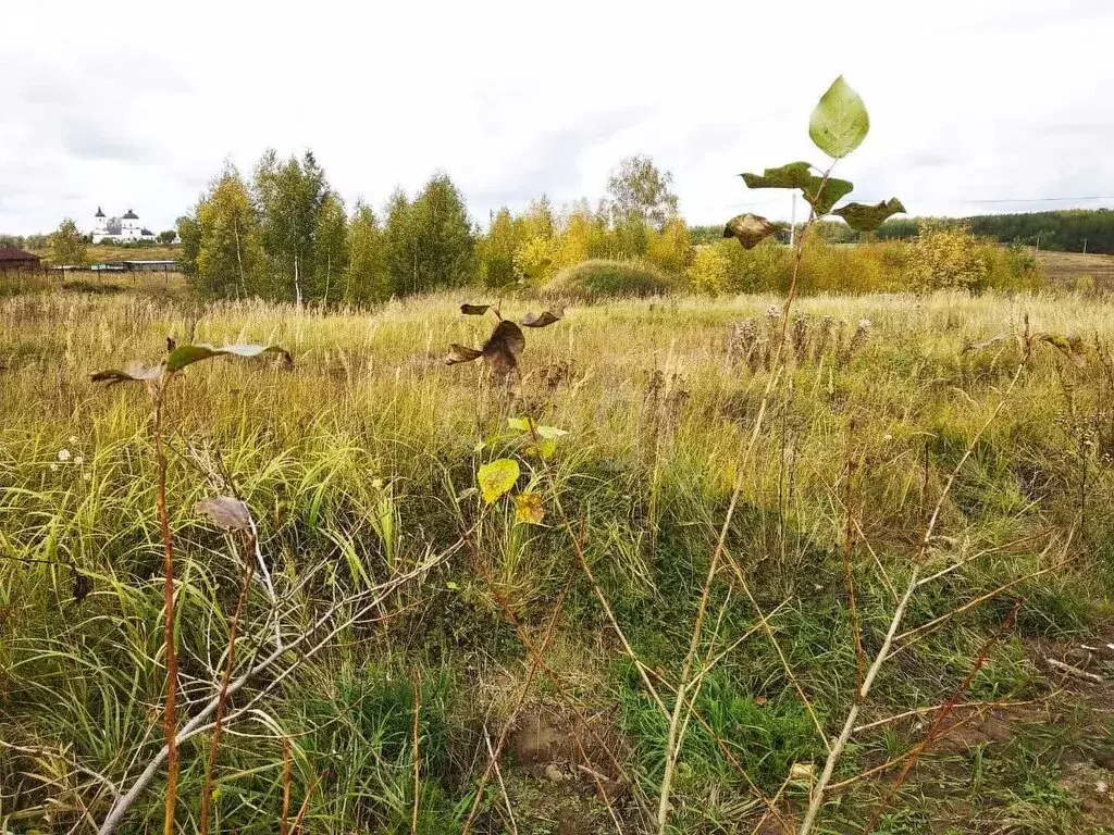 Участок в Лаишевский район, село Егорьево, Озёрная улица (20 м) - Фото 1