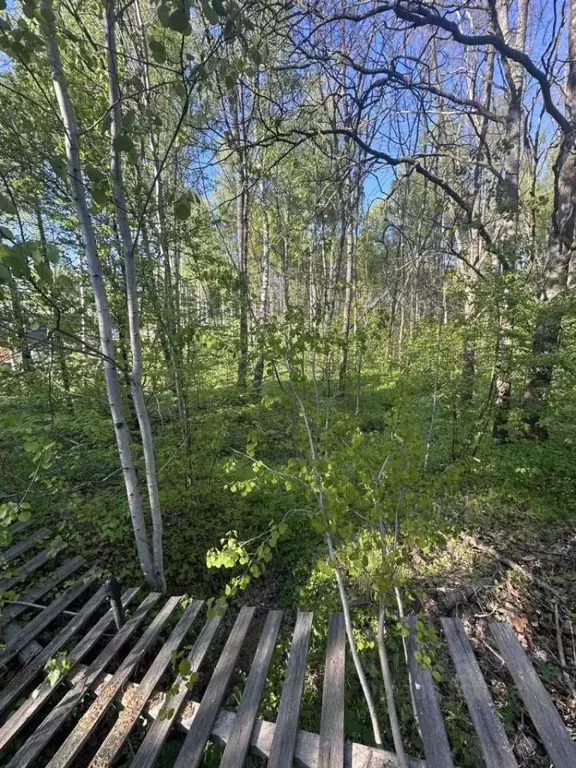 Участок в Нижегородская область, Богородский муниципальный округ, д. ... - Фото 1