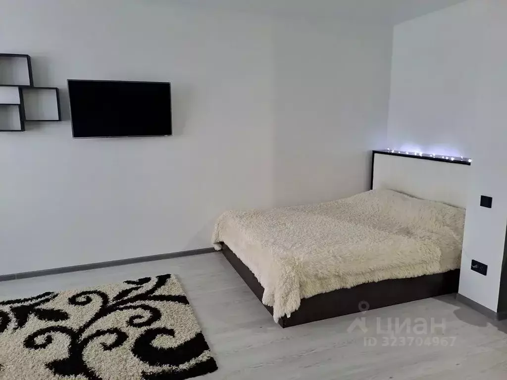 Студия Пензенская область, Пензенский район, Засечный сельсовет, с. ... - Фото 1