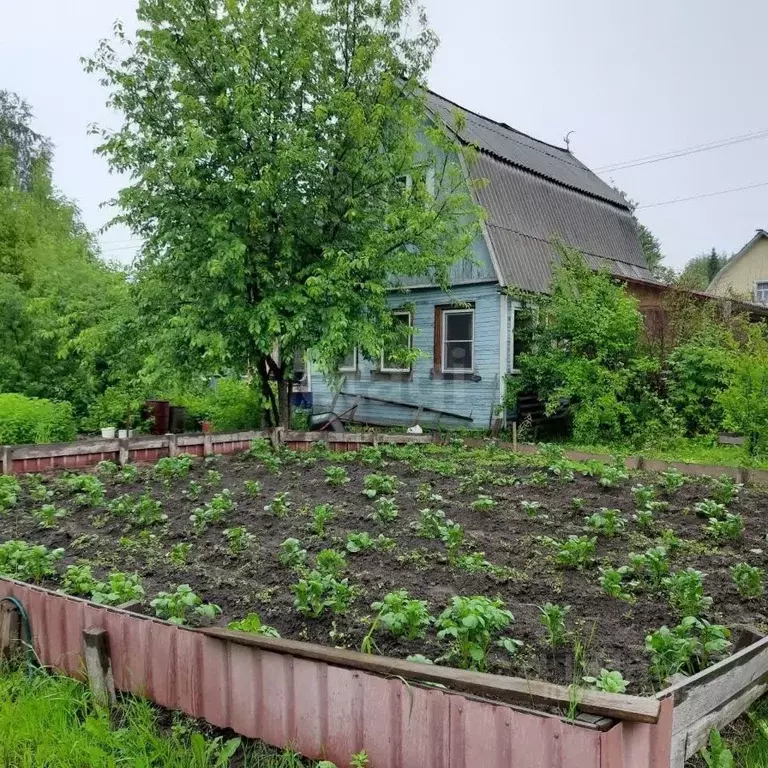 Дом в Архангельская область, Приморский муниципальный округ, Березка ... - Фото 1