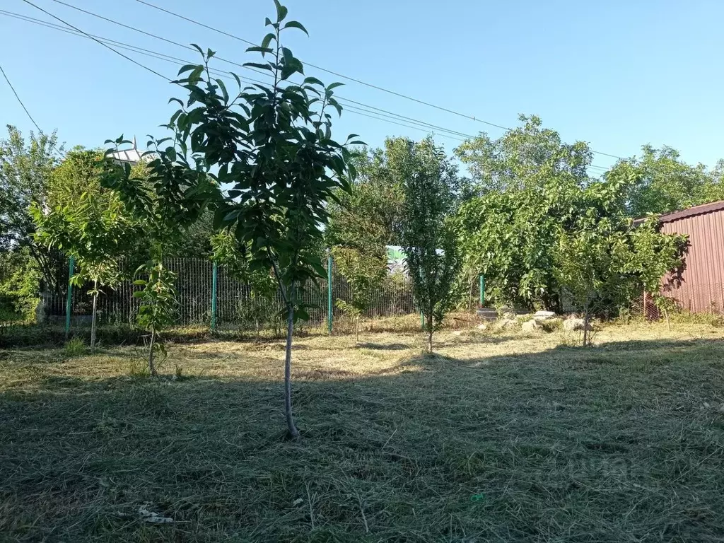 Участок в Краснодарский край, Анапа муниципальный округ, Красный ... - Фото 2