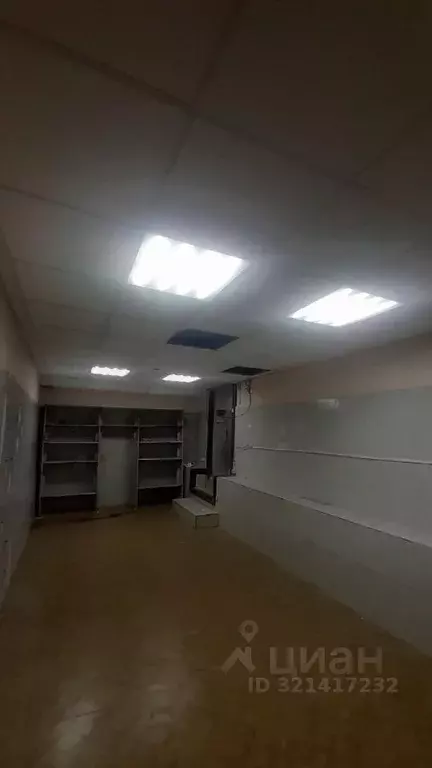 Торговая площадь в Красноярский край, Красноярск просп. Металлургов, ... - Фото 2