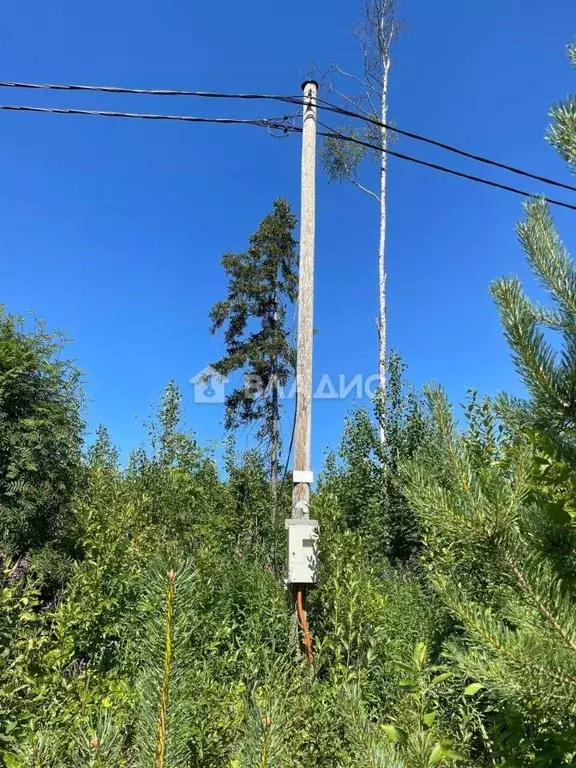 Участок в Карелия, Петрозаводск проезд Лахденпохский (10.0 сот.) - Фото 1