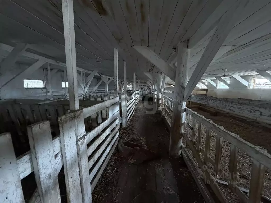 Дом в Удмуртия, Каракулинский район, д. Суханово Молодежная ул. (307 ... - Фото 1