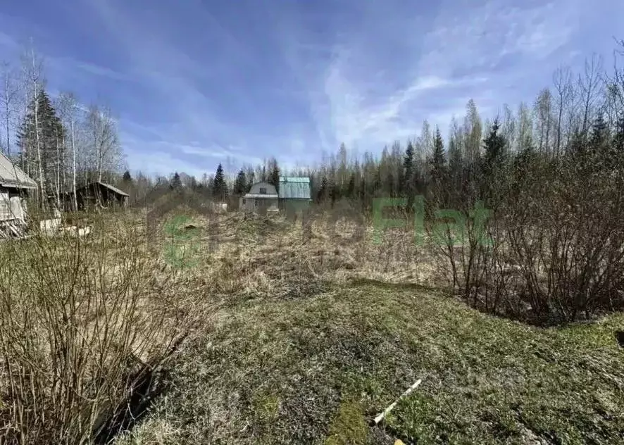 Участок в Ленинградская область, Тосненский район, Трубникоборское ... - Фото 1