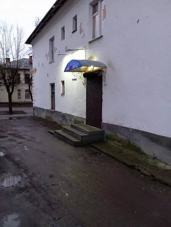 Торговая площадь (50.8 м) - Фото 2