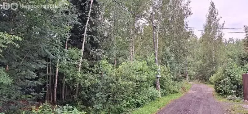 Участок в Сертоловское городское поселение, массив Белоостров, садовое ... - Фото 2