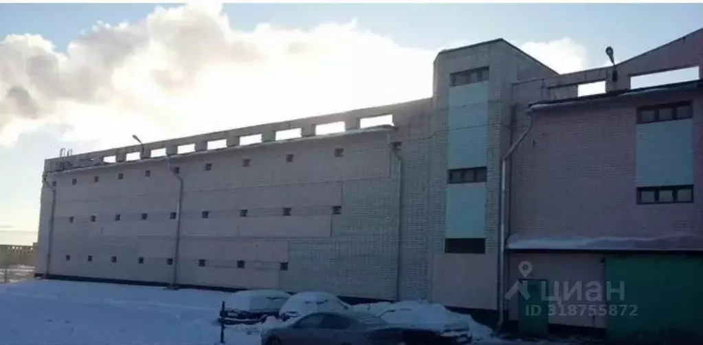 Гараж в Ярославская область, Ярославль ул. Громова, 29 (22 м) - Фото 0