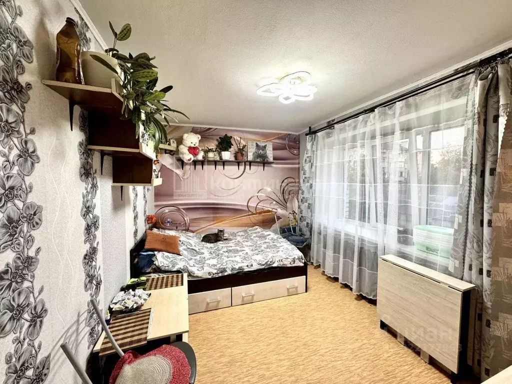 2-к кв. Владимирская область, Ковров Сосновая ул., 15/2 (23.8 м) - Фото 2