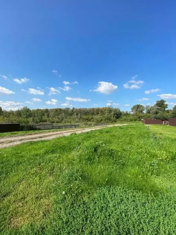 Участок в Челябинская область, Копейский городской округ, с. ... - Фото 0