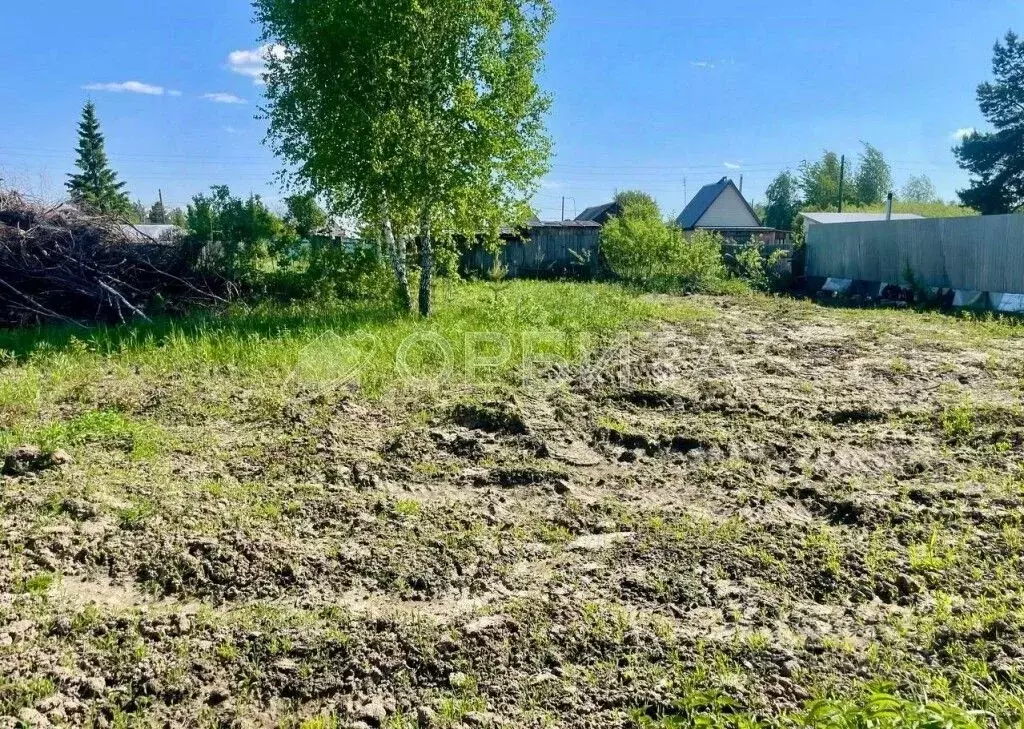 Участок в Тюменская область, Тюменский район, Нива СНТ ул. Светлая ... - Фото 0